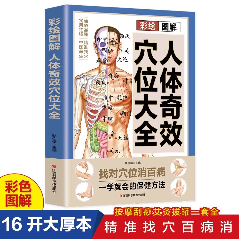 Complete Guide to Acupoint Mas - Health & Wellness Programs review and price