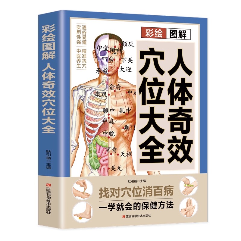 Complete Guide to Acupoint Mas - Health & Wellness Programs review and price